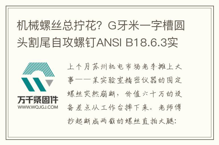 機械螺絲總擰花？G牙米一字槽圓頭割尾自攻螺釘ANSI B18.6.3實測揭秘