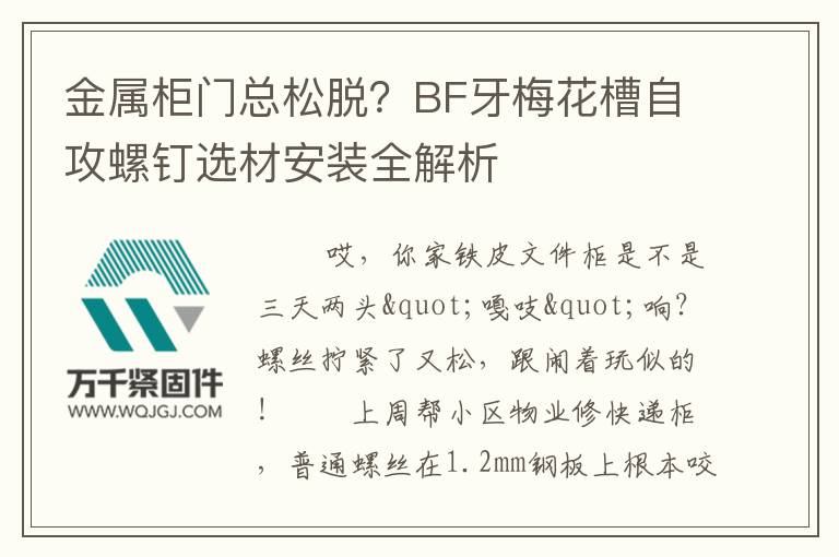 金屬柜門總松脫？BF牙梅花槽自攻螺釘選材安裝全解析