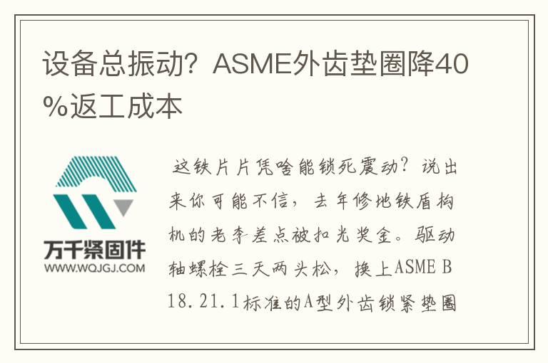 設(shè)備總振動(dòng)？ASME外齒墊圈降40%返工成本