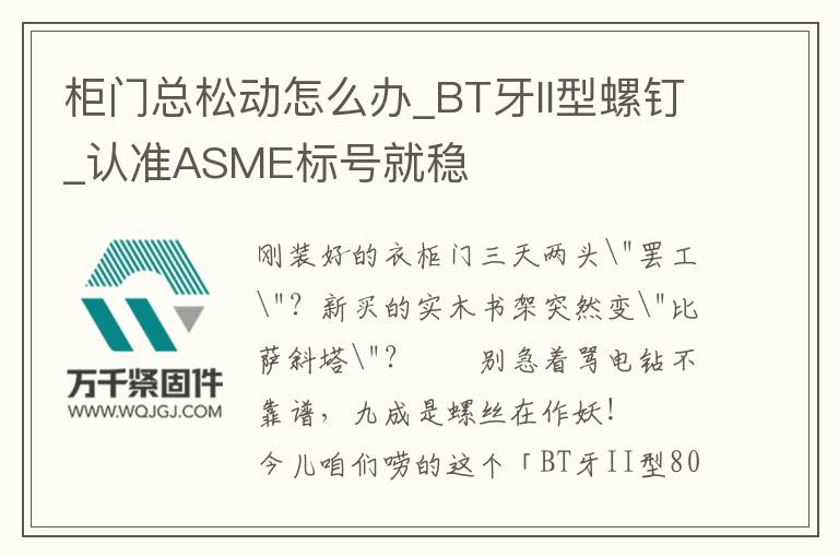柜門總松動怎么辦_BT牙II型螺釘_認(rèn)準(zhǔn)ASME標(biāo)號就穩(wěn)