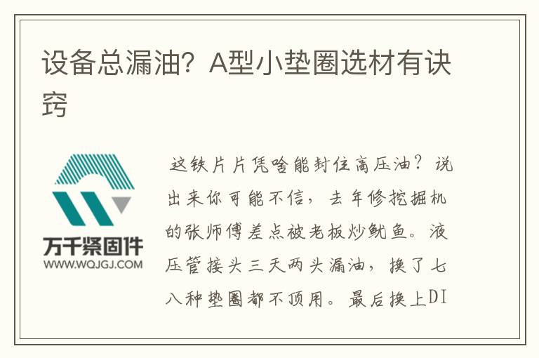 設(shè)備總漏油？A型小墊圈選材有訣竅