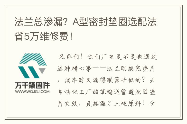 法蘭總滲漏？A型密封墊圈選配法省5萬維修費(fèi)！