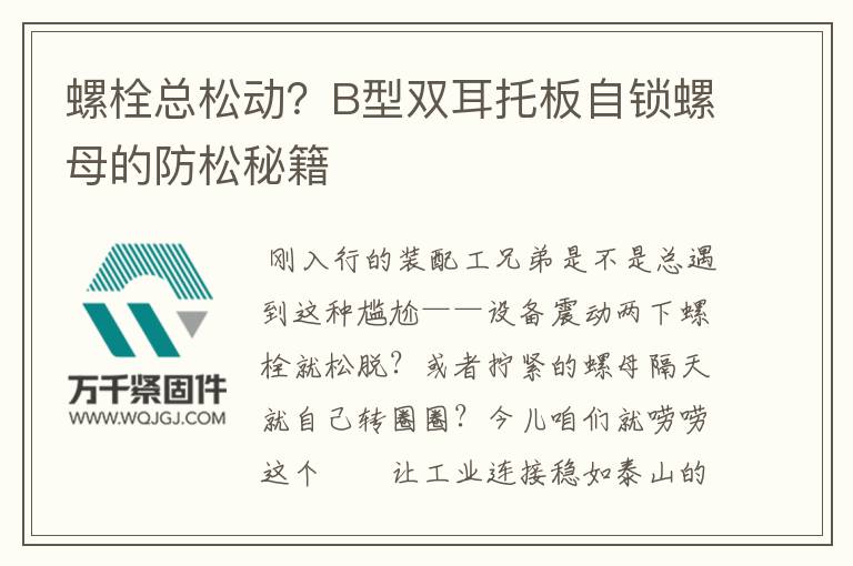 螺栓總松動(dòng)？B型雙耳托板自鎖螺母的防松秘籍