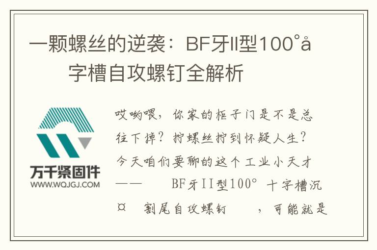一顆螺絲的逆襲：BF牙II型100°十字槽自攻螺釘全解析
