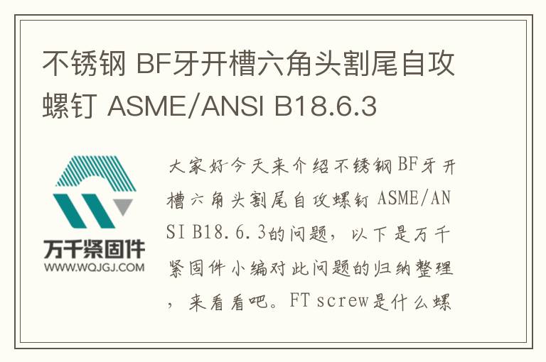 不銹鋼 BF牙開槽六角頭割尾自攻螺釘 ASME/ANSI B18.6.3