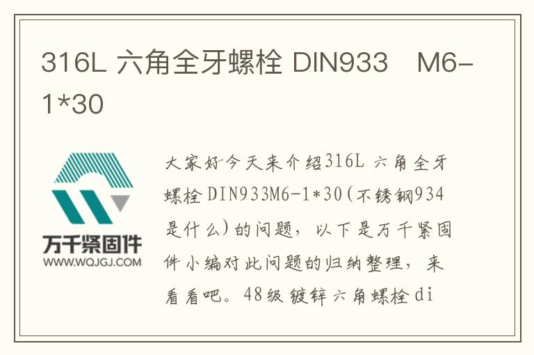 316L 六角全牙螺栓 DIN933	M6-1*30