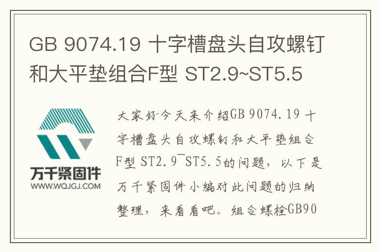 GB 9074.19 十字槽盤頭自攻螺釘和大平墊組合F型 ST2.9~ST5.5
