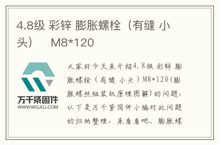 4.8級 彩鋅 膨脹螺栓（有縫 小頭）	M8*120