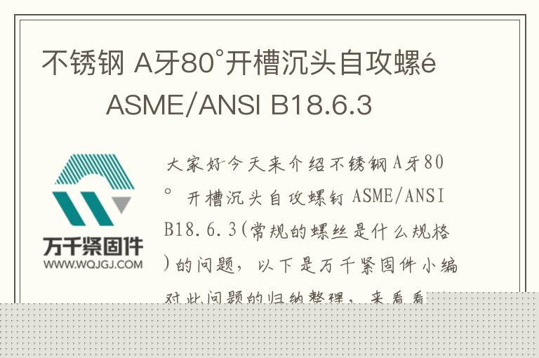 不銹鋼 A牙80°開槽沉頭自攻螺釘 ASME/ANSI B18.6.3