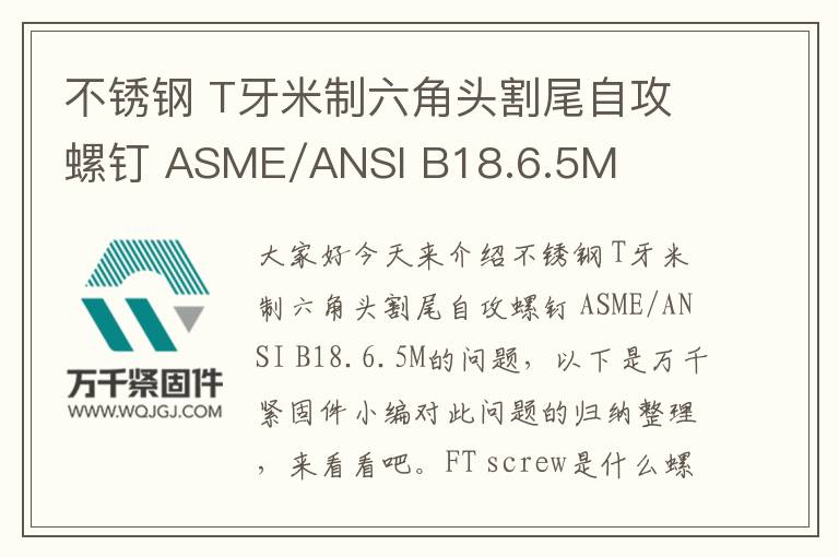 不銹鋼 T牙米制六角頭割尾自攻螺釘 ASME/ANSI B18.6.5M