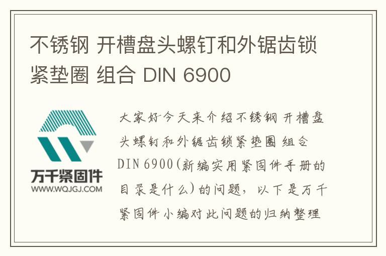 不銹鋼 開槽盤頭螺釘和外鋸齒鎖緊墊圈 組合 DIN 6900