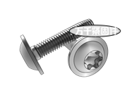 BP牙梅花槽圓頭凸緣自攻螺釘 ASME B18.6.3