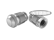 滾花通孔中間帶槽多臺階鑲?cè)肼菽?封閉型 DIN 16903