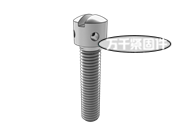 開槽帶孔球面圓柱頭螺釘 IS 8070