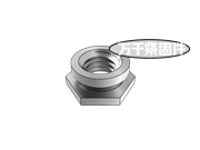 熱處理不銹鋼鑲?cè)肼菽?QIB/IND F4